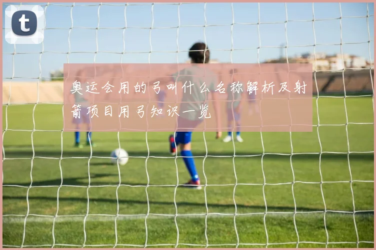 奥运会用的弓叫什么名称解析及射箭项目用弓知识一览